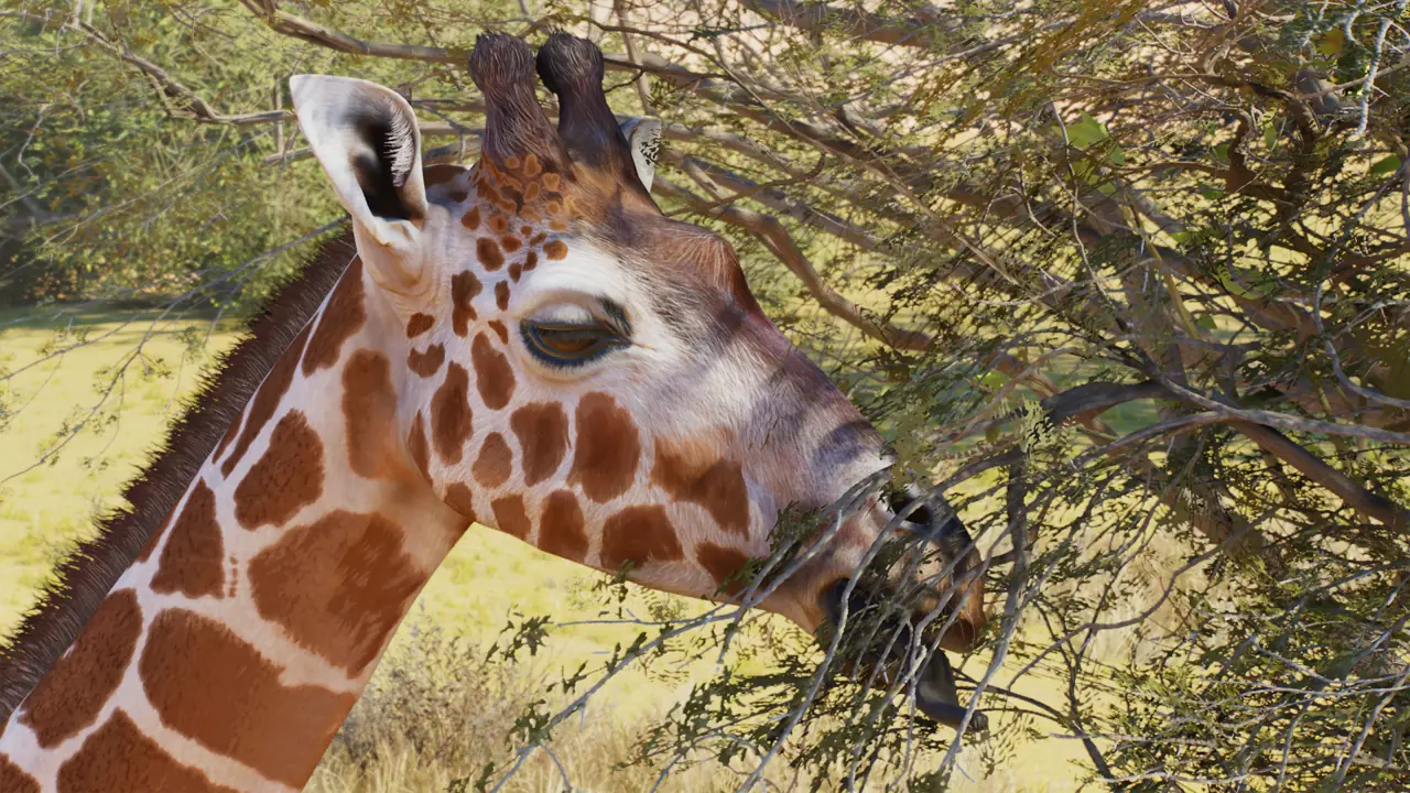Reticulated Giraffe in Planet Zoo 2