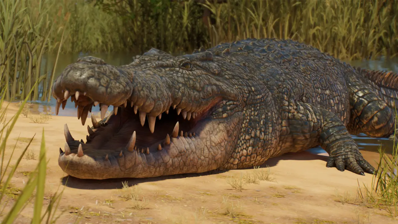 Saltwater Crocodile in Planet Zoo 2