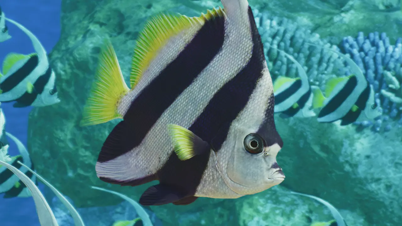 Schooling Bannerfish in Planet Zoo 2