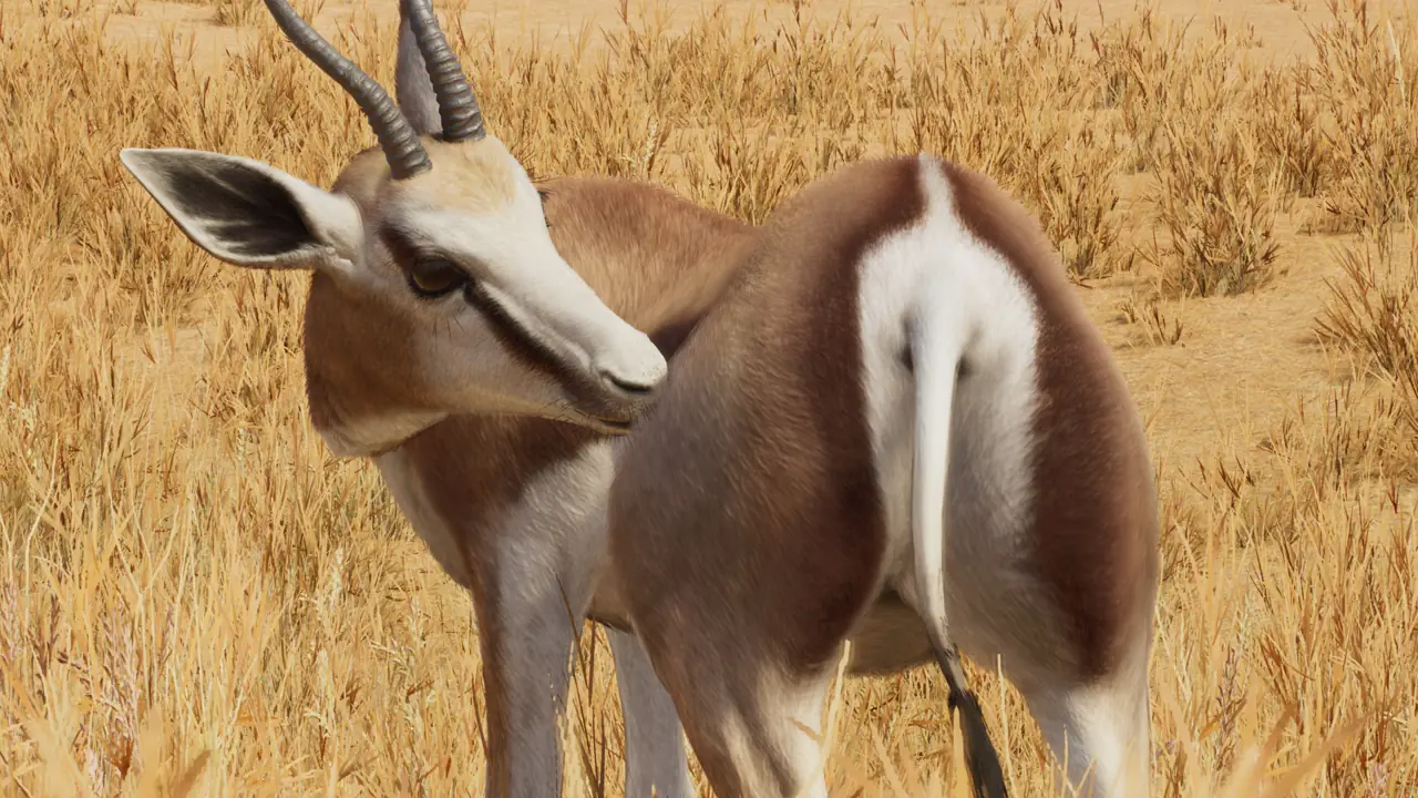 Springbok in Planet Zoo 2