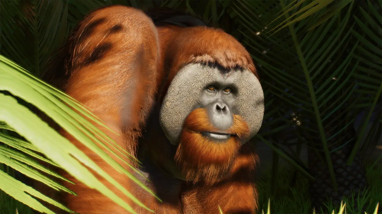 Sumatran Orangutan in Planet Zoo 2