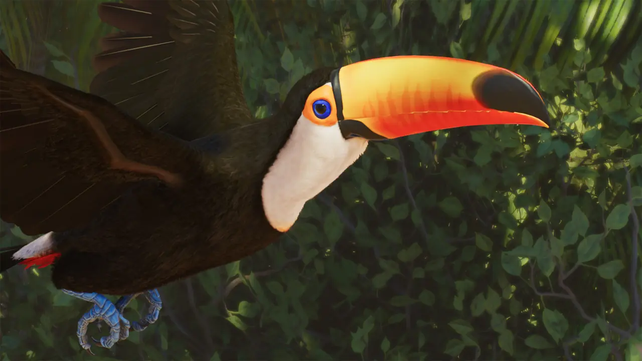 Toco Toucan in Planet Zoo 2