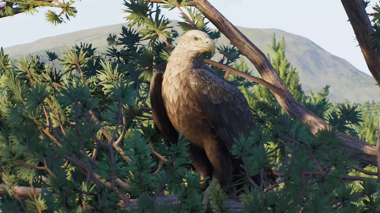 White-Tailed Sea-Eagle in Planet Zoo 2