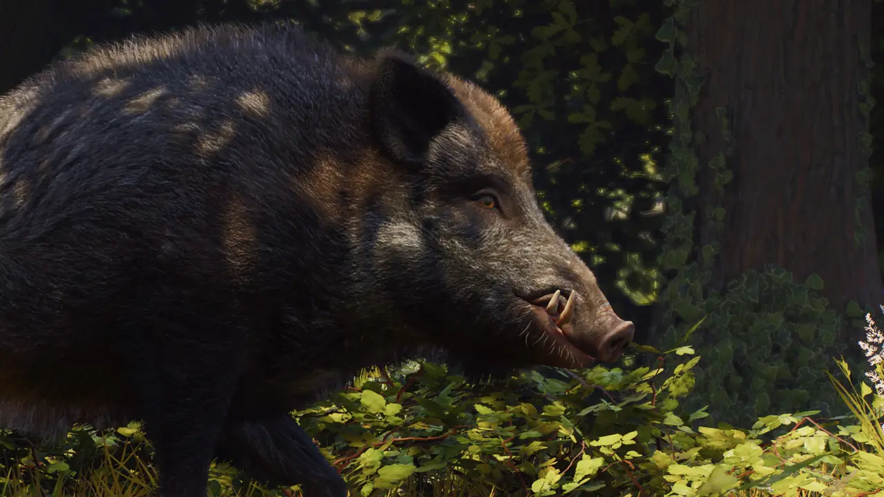 Wild Boar in Planet Zoo 2