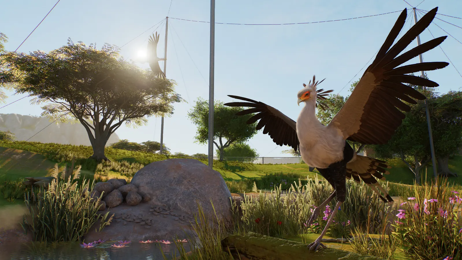 Planet Zoo 2 bird of paradise with wings spread