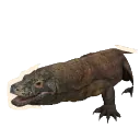 Komodo Dragon