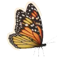 Monarch